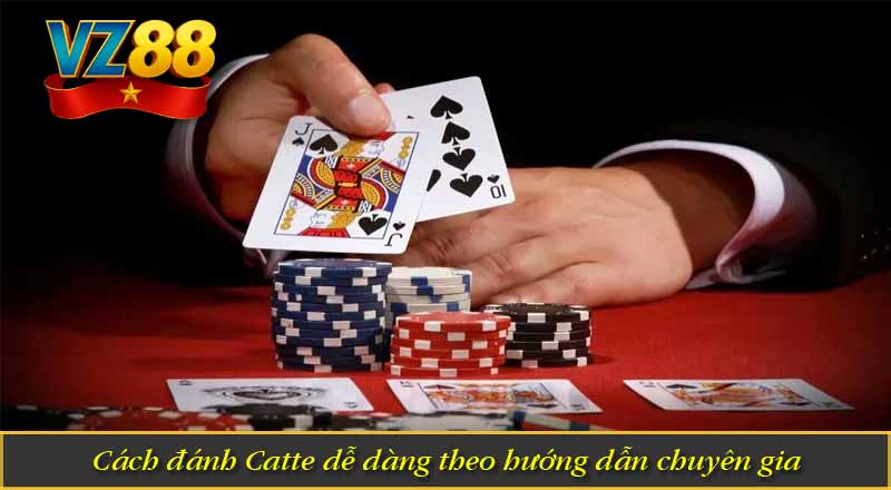 Bài Catte Là Gì? - Game Bài Đổi Thưởng Hấp Dẫn Tại VZ88 7 Cách đánh Catte dễ dàng theo hướng dẫn chuyên gia
