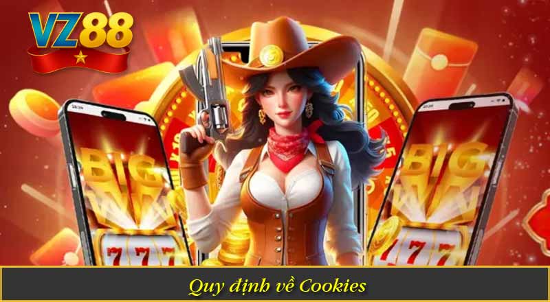 CHÍNH SÁCH BẢO MẬT VZ88 8 Quy định về Cookies