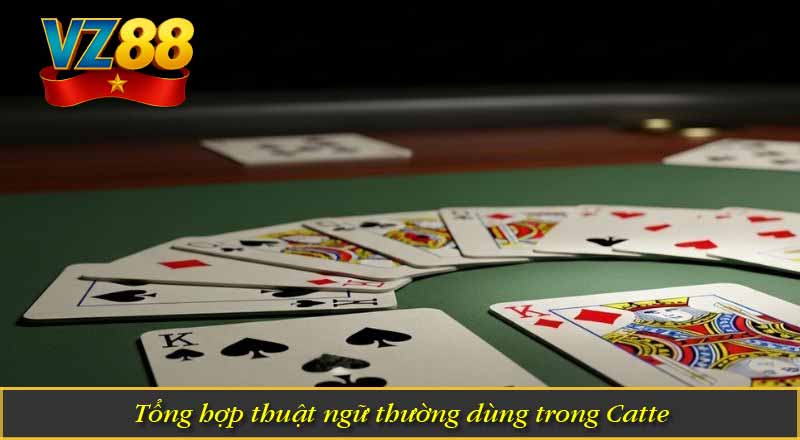 Bài Catte Là Gì? - Game Bài Đổi Thưởng Hấp Dẫn Tại VZ88 6 Tổng hợp thuật ngữ thường dùng trong Catte