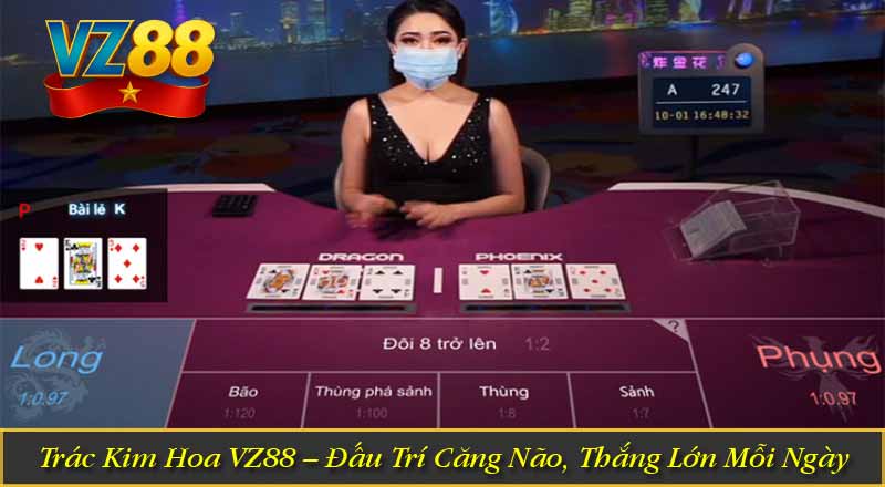Trác Kim Hoa VZ88 – Đấu Trí Căng Não, Thắng Lớn Mỗi Ngày 1 Trác Kim Hoa VZ88 – Đấu Trí Căng Não, Thắng Lớn Mỗi Ngày